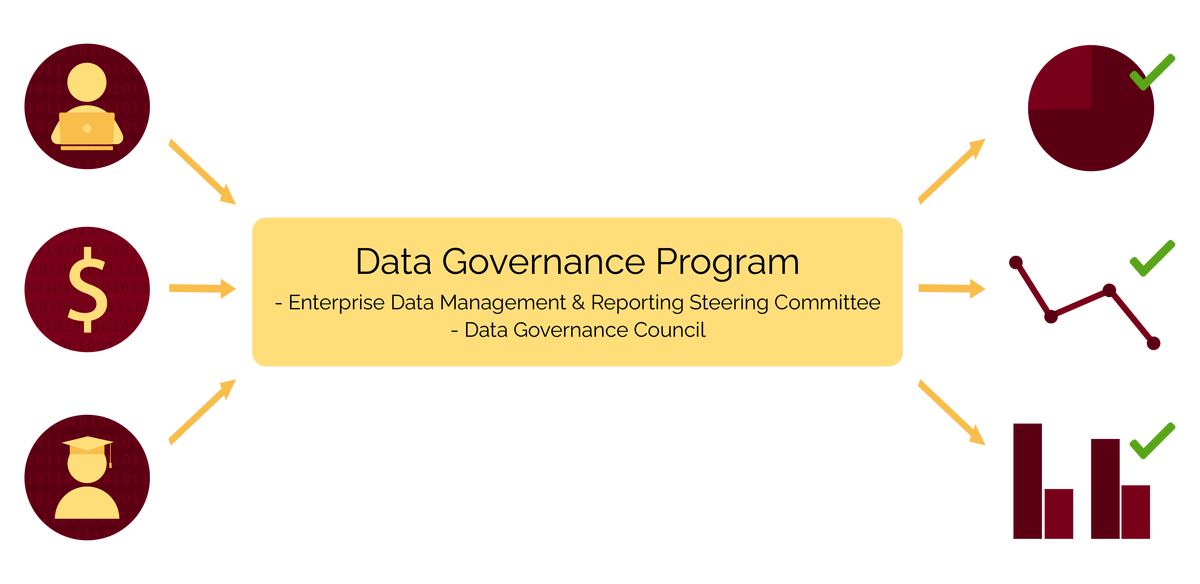 Data Governance Program