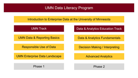 UMN Data Literacy Program